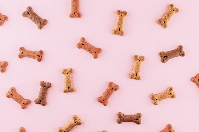Cat Treats
